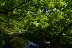 230427京都植物園27