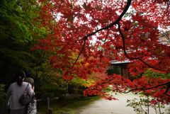 201113南禅寺23天授庵
