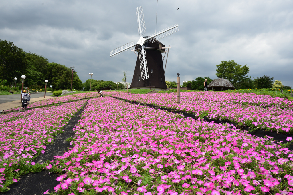 200702鶴見緑地07