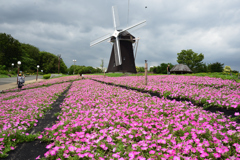 200702鶴見緑地07