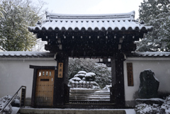 250208a東福寺02
