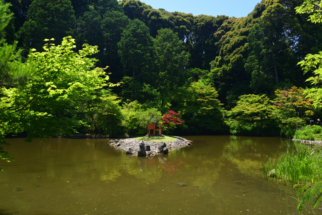 220612b浄瑠璃寺10