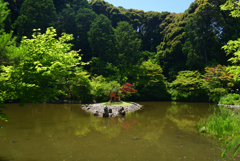 220612b浄瑠璃寺10