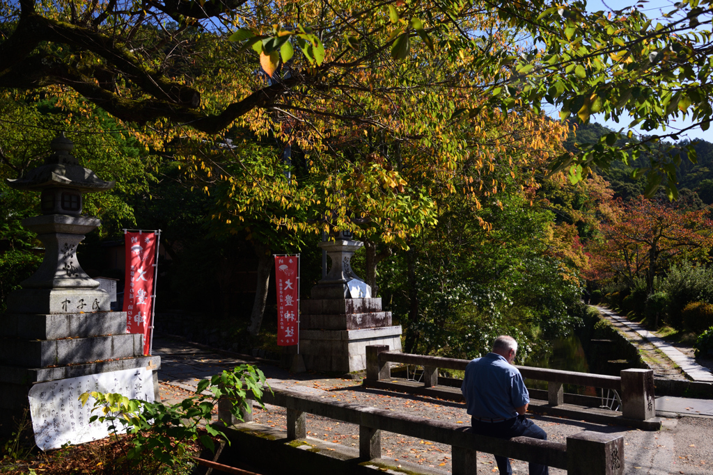 191102c哲学の道48
