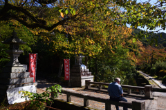 191102c哲学の道48