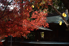 211203b乙訓寺09