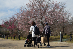 210309京都植物園24