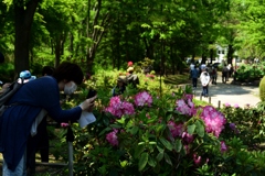 180421長居植物園21+