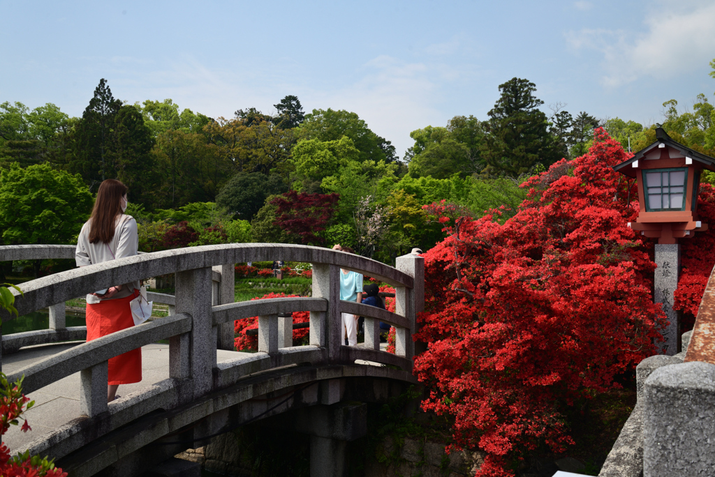 220423長岡天満宮12