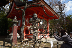 210211b北野天満宮21