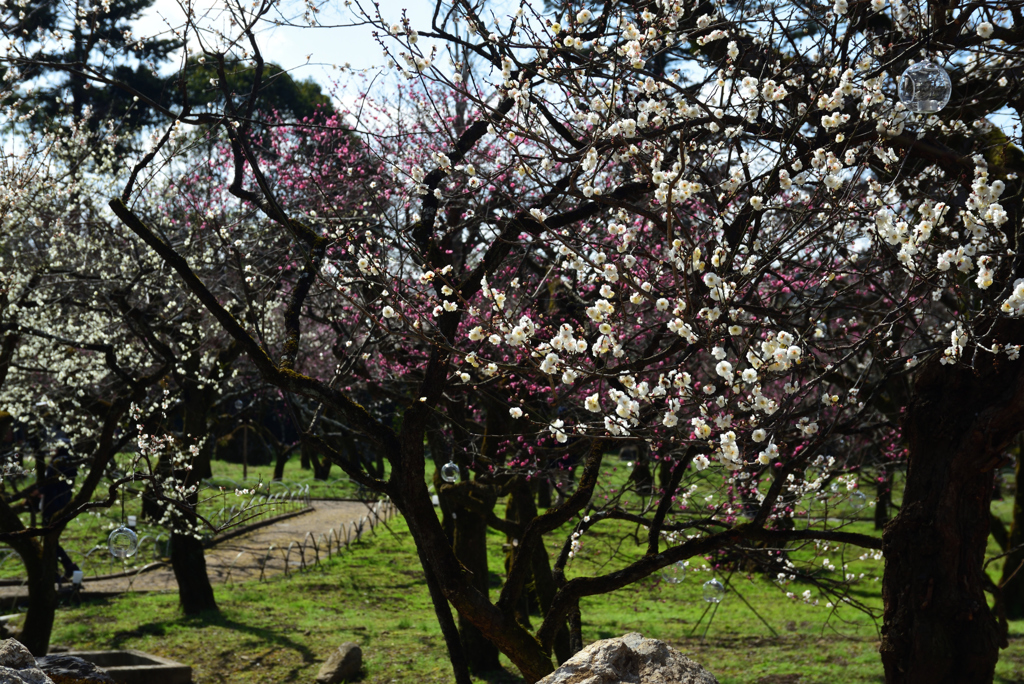 190223a北野天満宮12