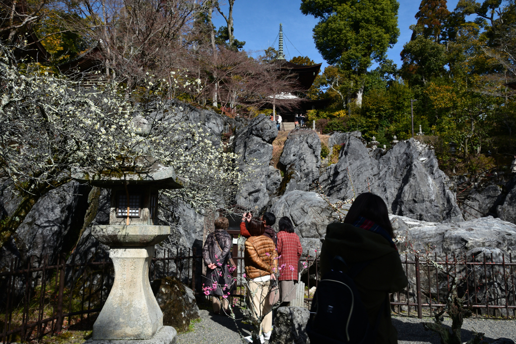 240224a石山寺02