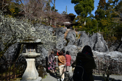 240224a石山寺02
