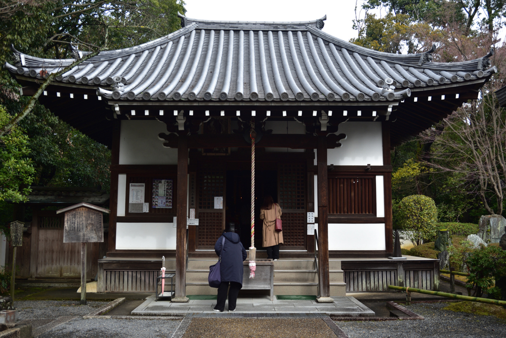 200124b泉涌寺05