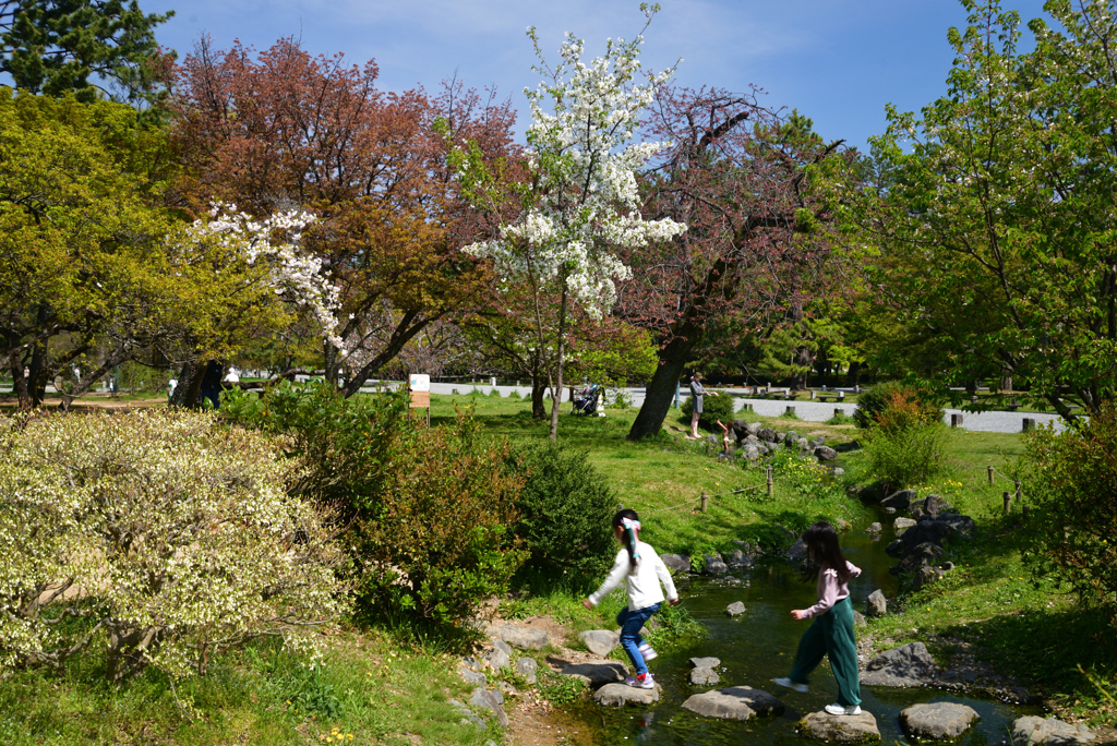 230404a京都御苑07