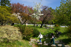 230404a京都御苑07