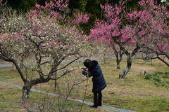 240210a山田池公園29