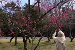 250307c京都御苑25