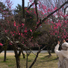 250307c京都御苑25