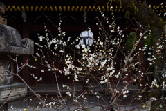 190214c北野天満宮34