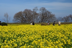 180303なぎさ公園21+