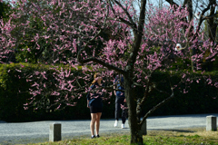 230307b京都御苑18