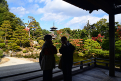 221116d仁和寺32
