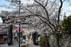 250403c金戒光明寺07