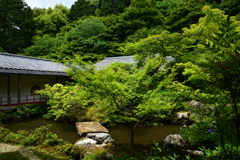 230528a実相院17