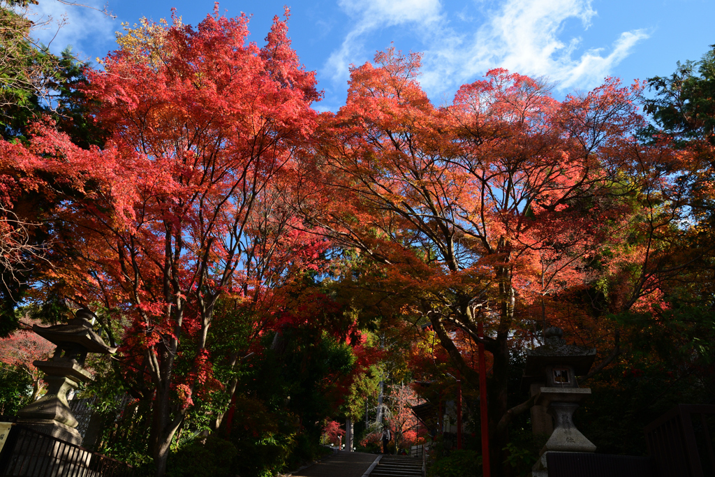 231130c粟田神社31