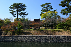 221028b宇治川18