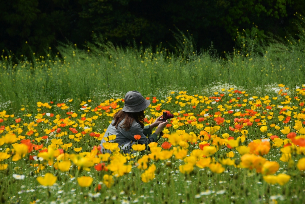 180426万博公園61
