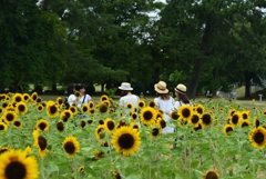 180810万博公園49