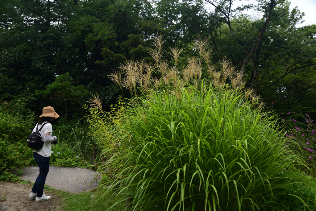 210811京都植物園13