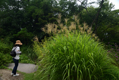 210811京都植物園13