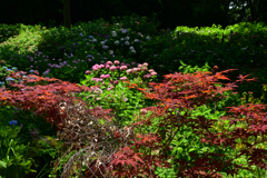 230702万博公園59