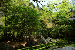 250419b貴船14
