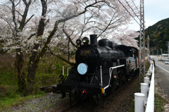 250406g家山19