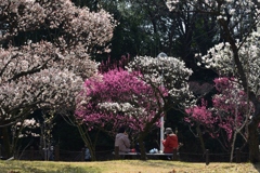 180302荒山公園17+