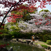 250412四天王寺16