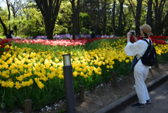 190420d京都植物園52