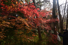 250104a下鴨神社05