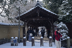 250208a東福寺06