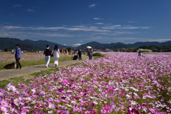 221021a藤原宮跡05