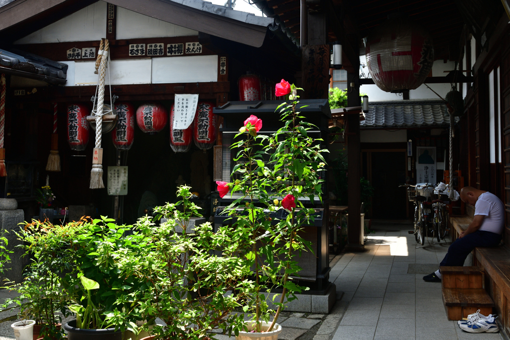 250829b西福寺46