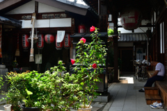 250829b西福寺46