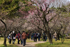 190318d京都御苑21