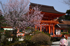 190329a上賀茂神社01