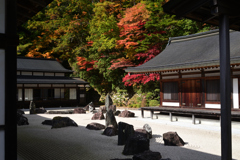 211103高野山33