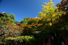 191110c今熊野観音寺10